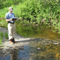 Low-Flow Streamgage Network in Michigan