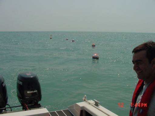 Figure 3. Transect of drifting buoys on the navigational channel of Lake St. Clair.