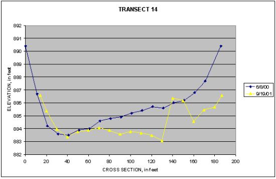 Graph of Transect 14 at Big Rapids