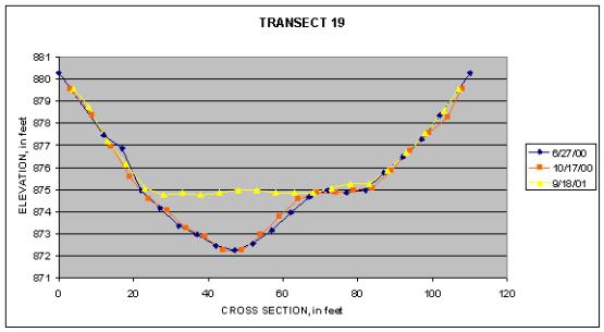 Graph of Transect 19 at Big Rapids