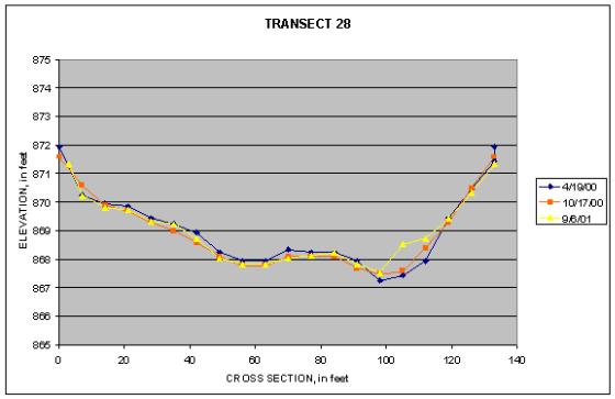 Graph of Transect 28 at Big Rapids