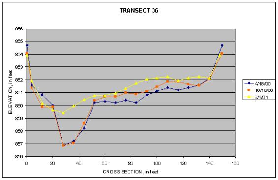 Graph of Transect 36 at Big Rapids