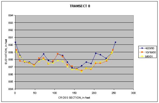 Graph of Transect 8 at Big Rapids