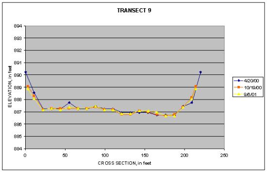 Graph of Transect 9 at Big Rapids