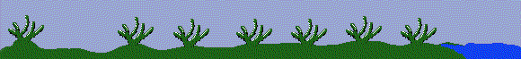 Lush greenery changing due to Drought conditions!