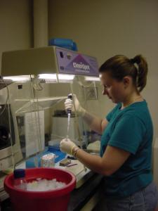 Conducting DNA fingerprinting of E. coli