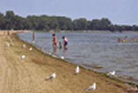 Restoring Recreational use of Great Lakes Beaches by Intensified Beach Monitoring for Pathogens and Avian Botulism Markers